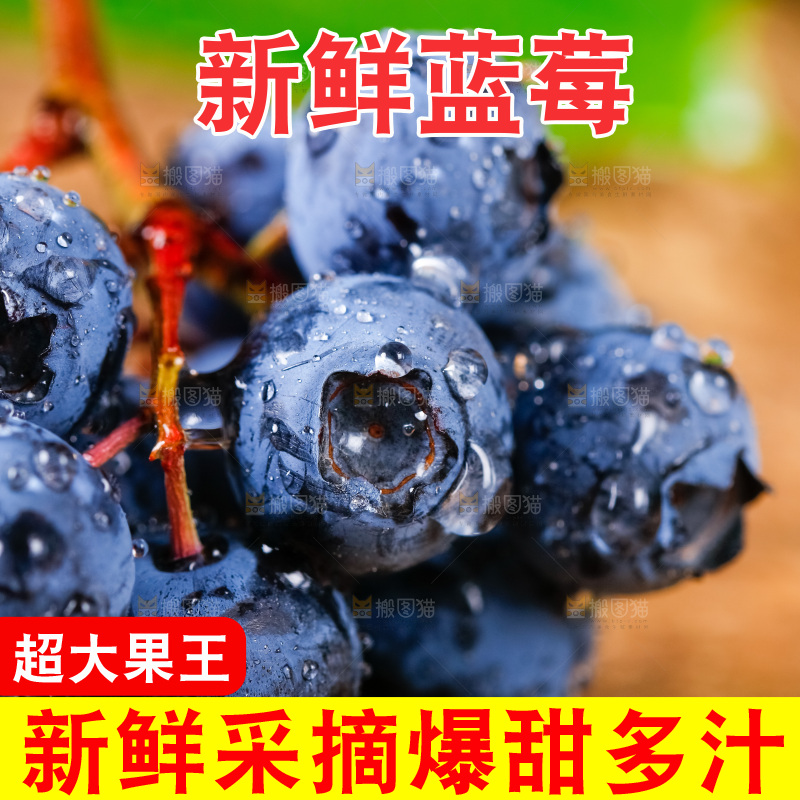 深底上摆放着蓝莓