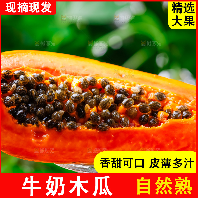 玻璃杯上放着冰糖红心木瓜