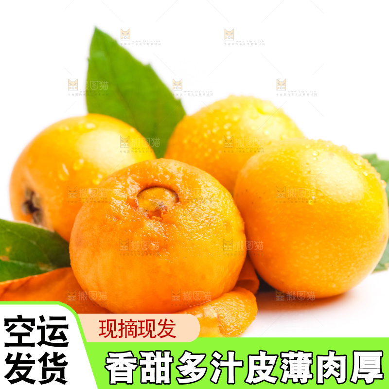 浅底上放着四川枇杷