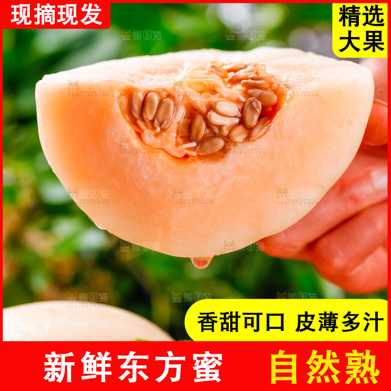 手拿东方蜜瓜切块