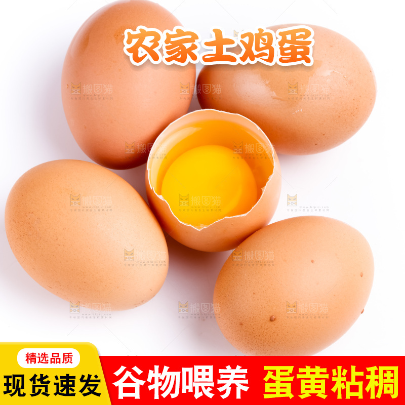 白底上的新鲜鸡蛋