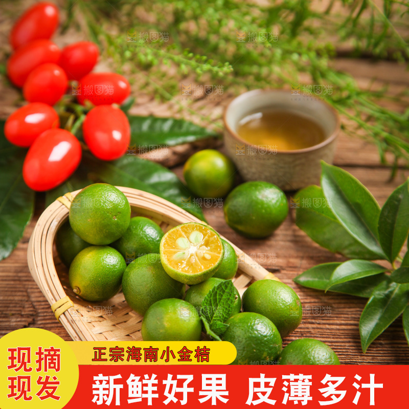 篮子里装着小金桔