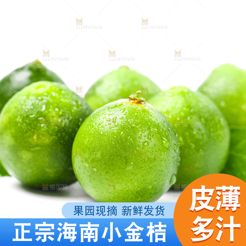 浅底上摆放着小金桔