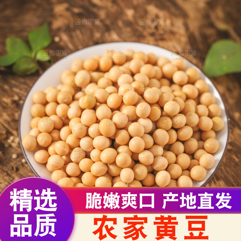盘子里装着黄豆