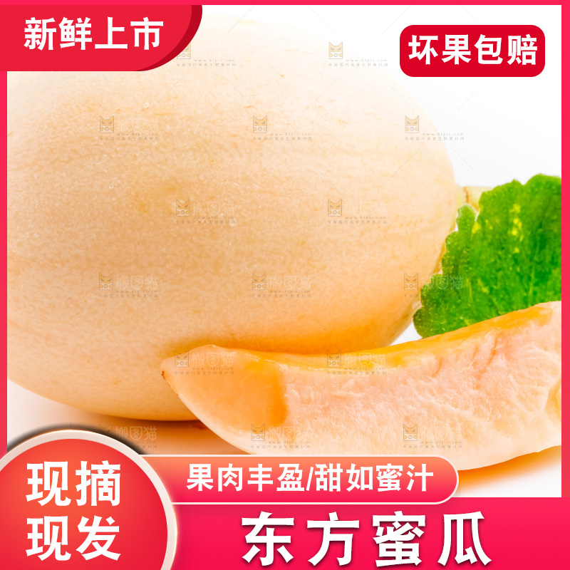 山东东方蜜瓜放在白底上