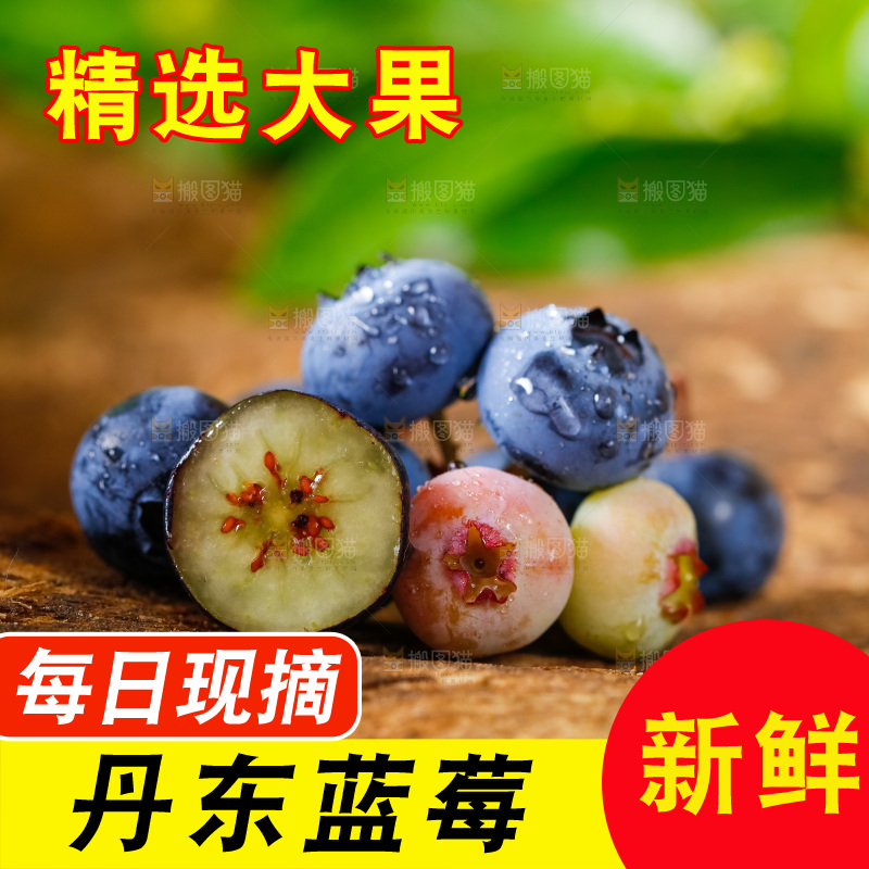 木底上放着山东蓝莓鲜果