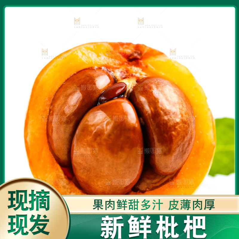 白底上放着枇杷果