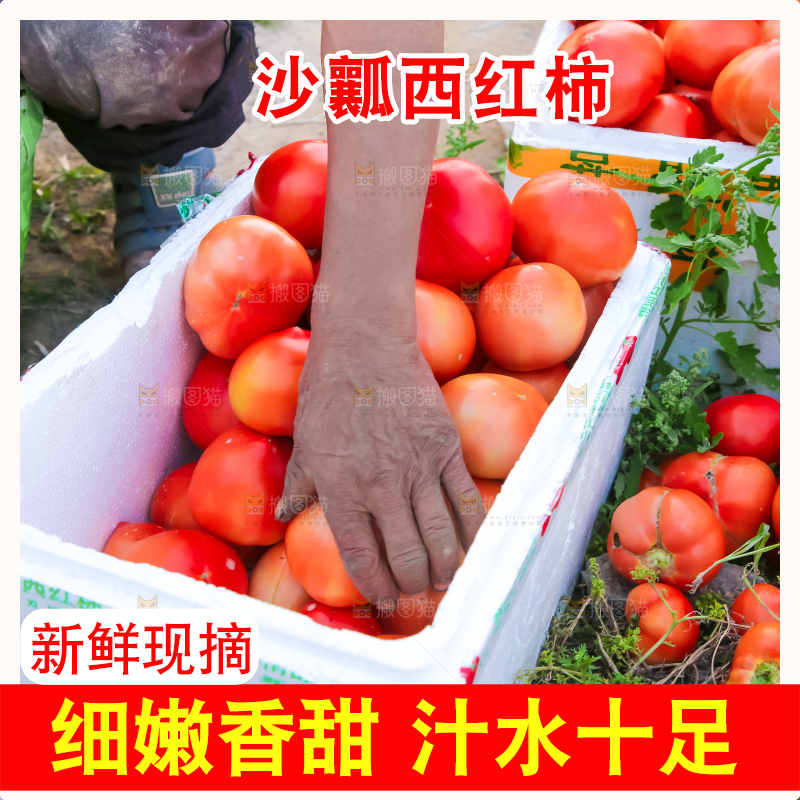 箱子里装着西红柿