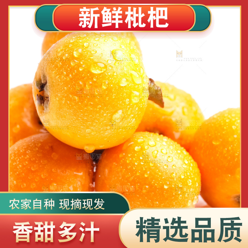 白底上放着新鲜枇杷