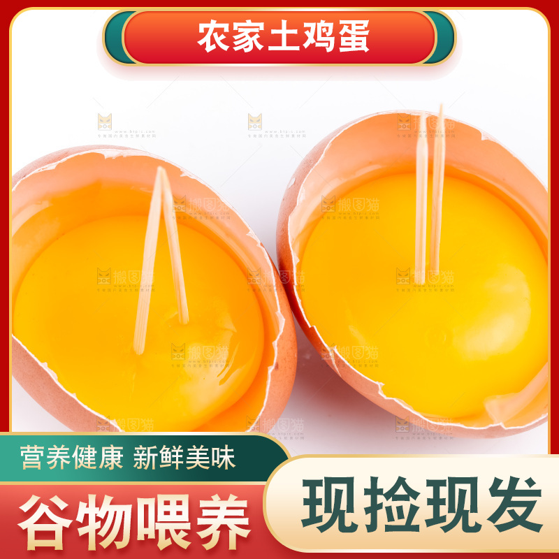 白底上放着散养鸡蛋
