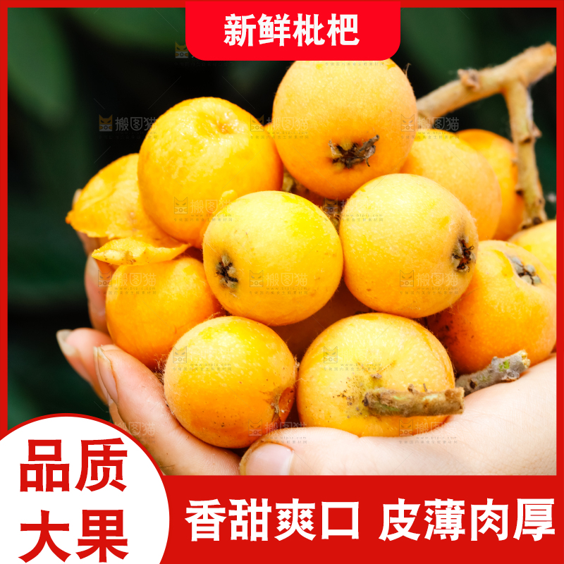 手里捧着新鲜枇杷