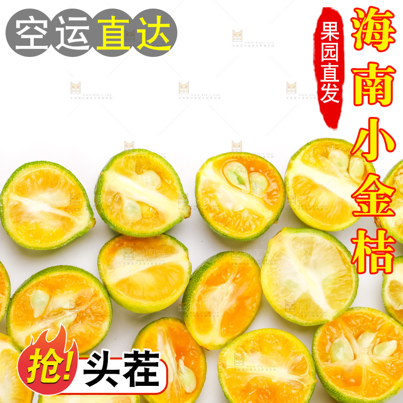白底上摆放着小金桔