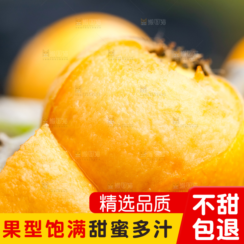 树枝上挂着枇杷