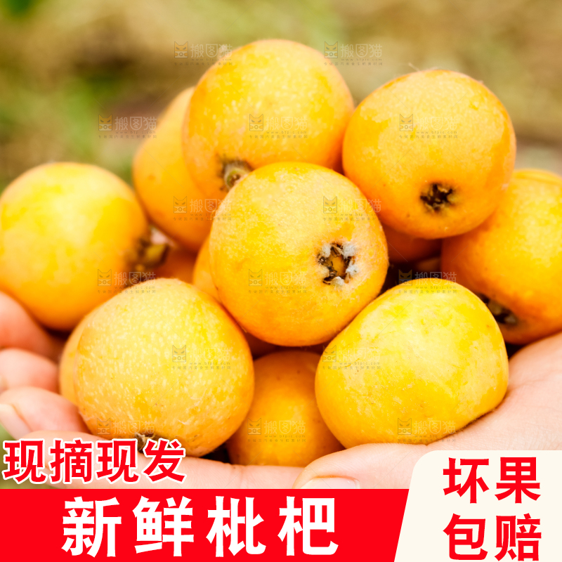 手里捧着枇杷