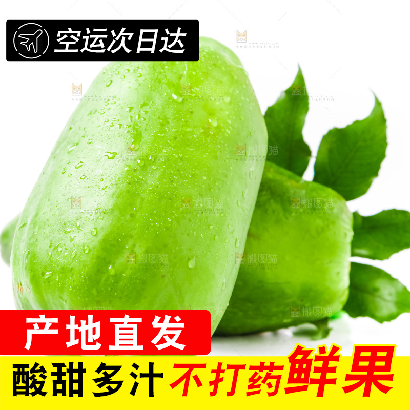 白底上放着青木瓜