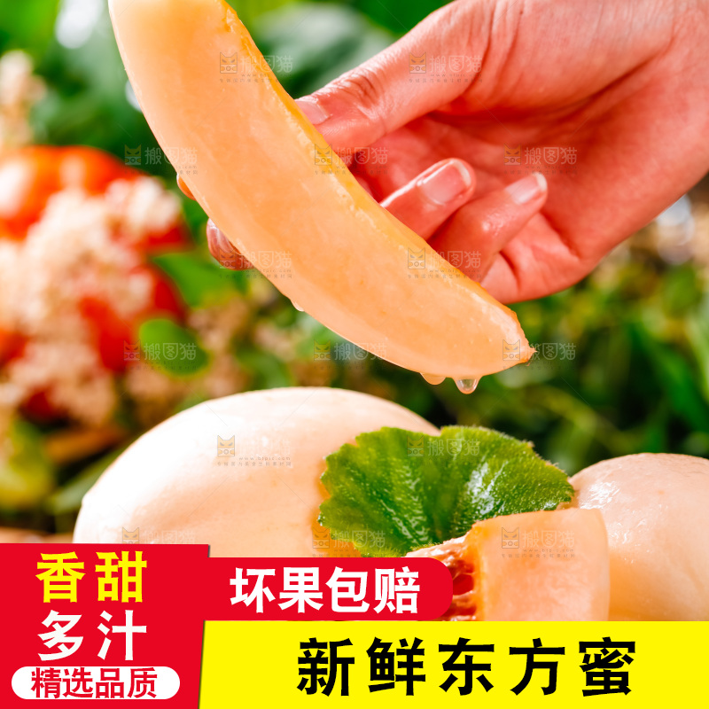 手拿东方蜜瓜切块