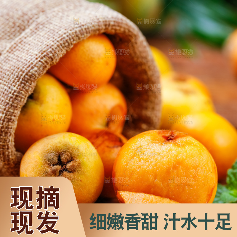 袋子里装着新鲜枇杷