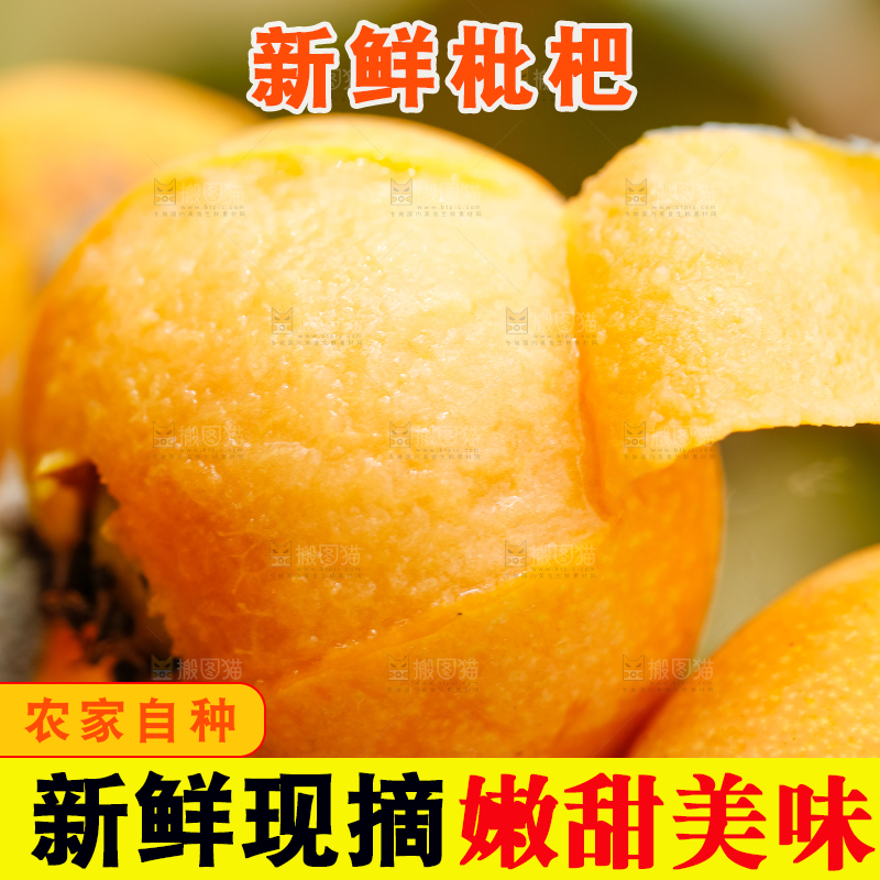 户外的枇杷果