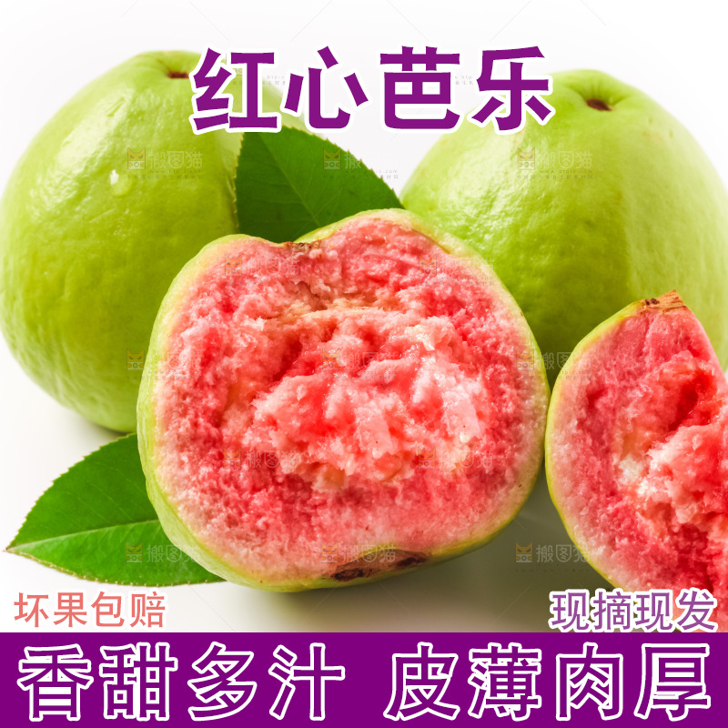 白底上摆放着红心番石榴