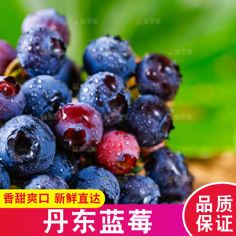 深底上摆放着蓝莓