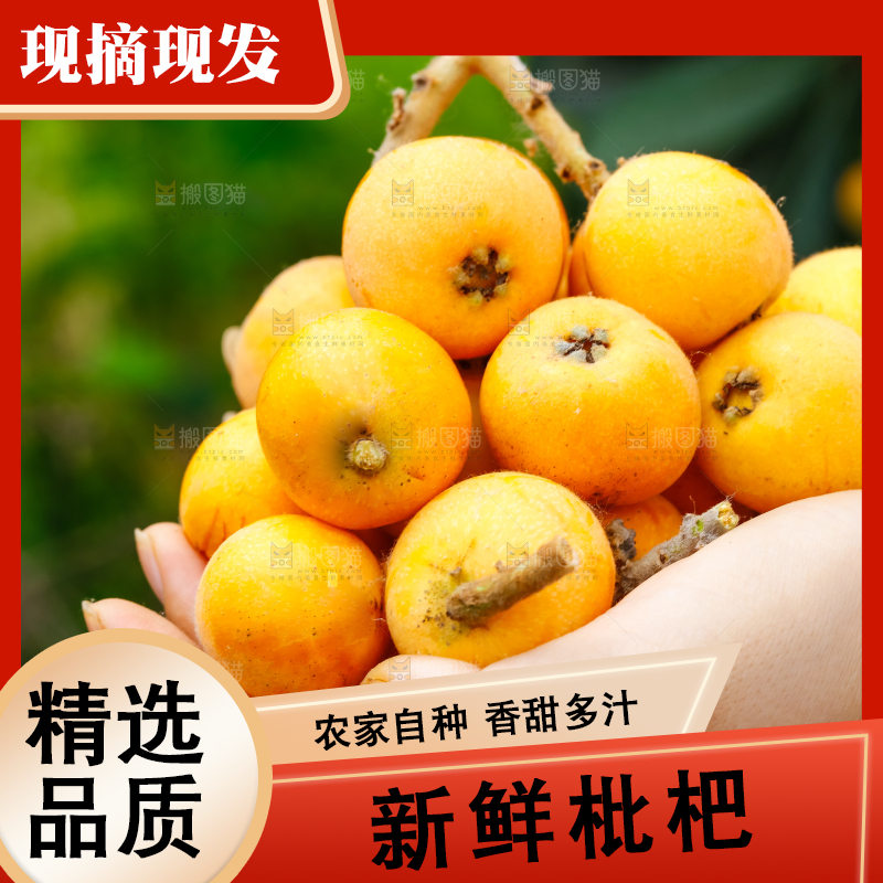手里捧着新鲜枇杷