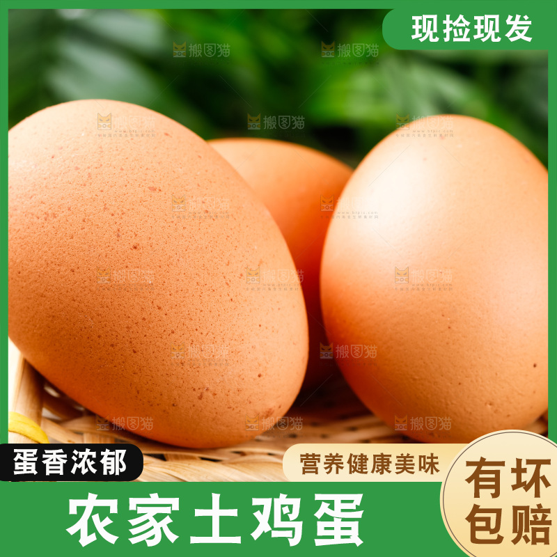 木底上放着新鲜鸡蛋