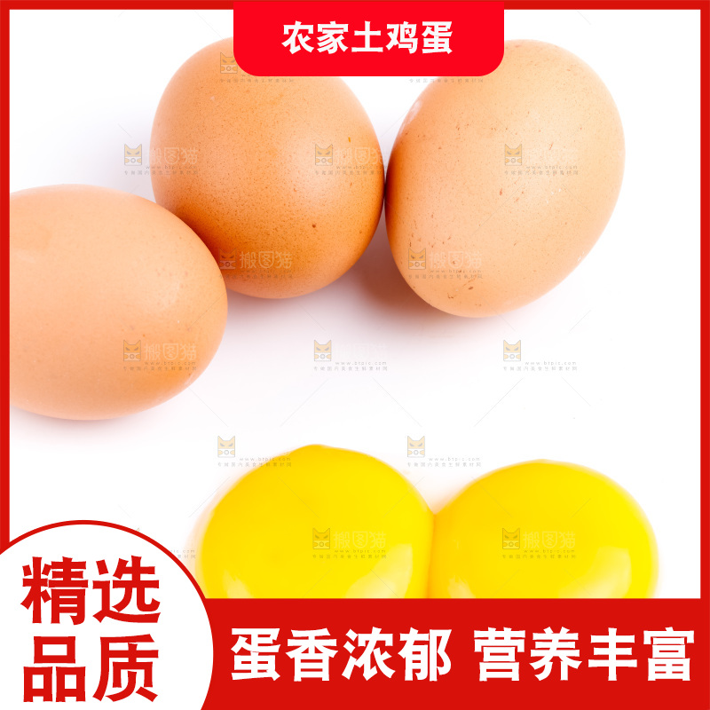 新鲜土鸡蛋放在白底上