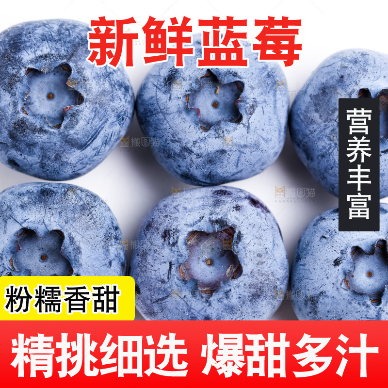 浅底上放着蓝莓果