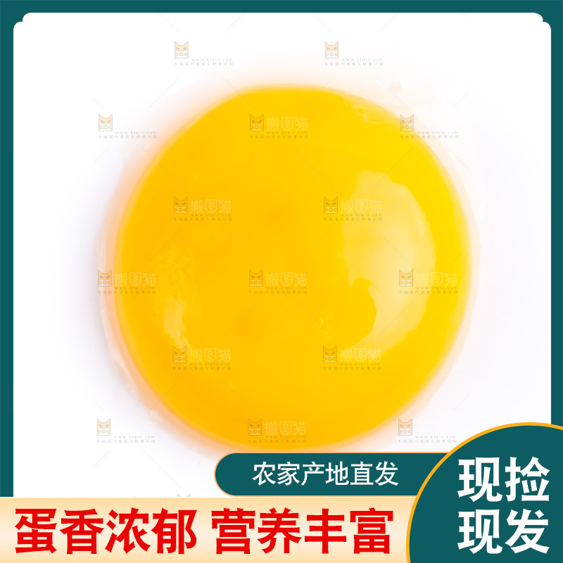 新鲜土鸡蛋放在白底上