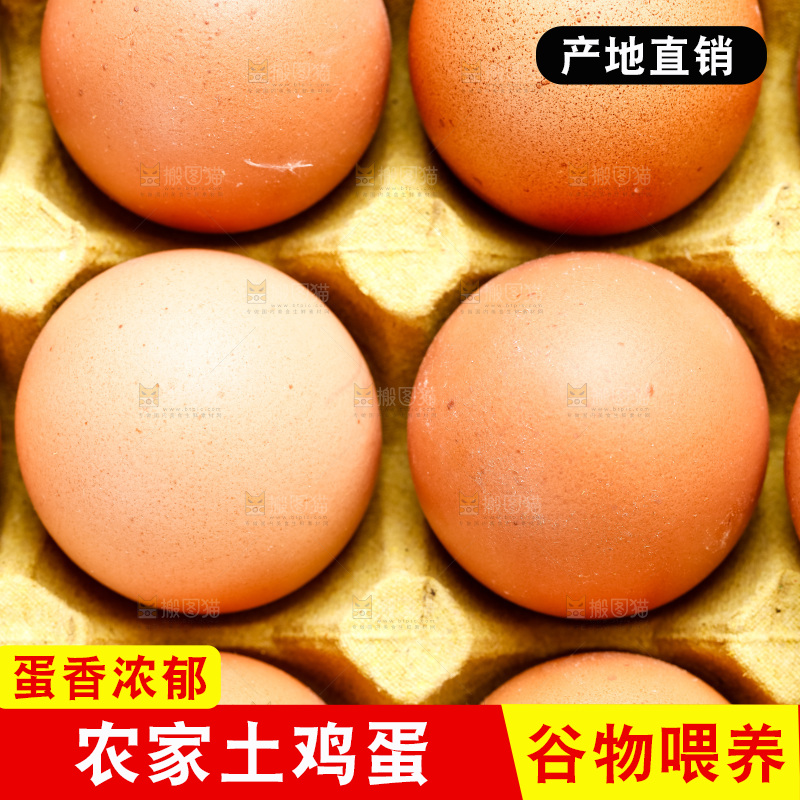 白底上放着一盘鲜鸡蛋