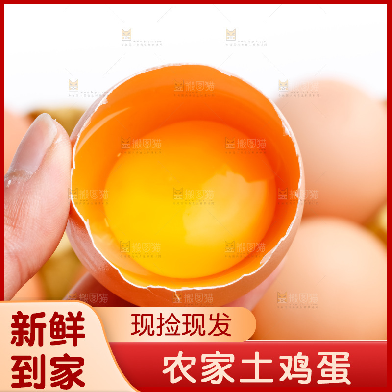 白底上的新鲜鸡蛋