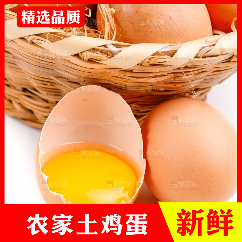 白底上放着散养鸡蛋