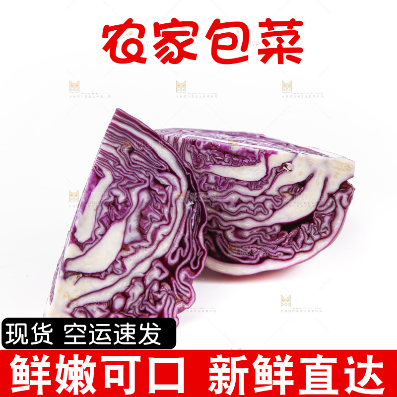 白底上放着紫包菜