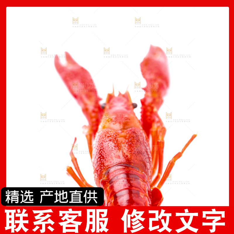 白底上放着秘制小龙虾