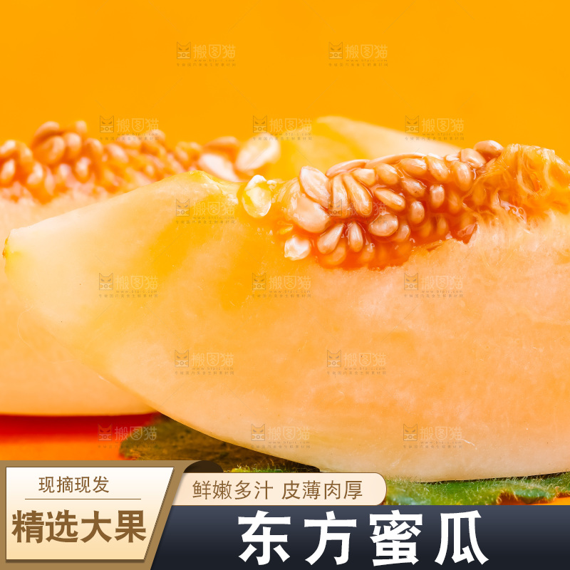 浅底上放着山东东方蜜瓜