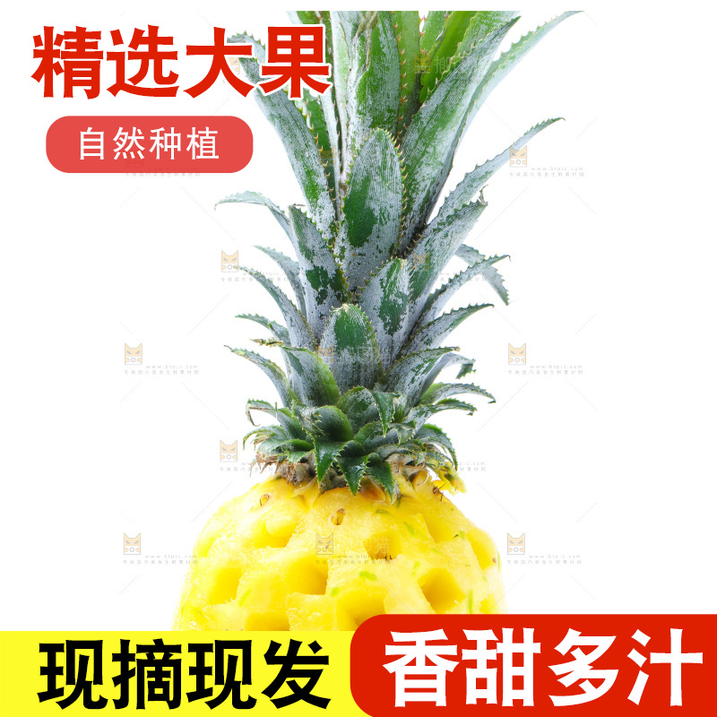 白底上的金钻凤梨