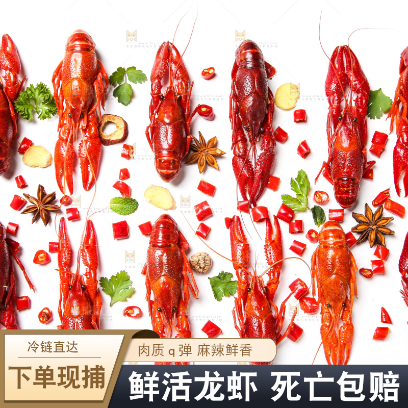 调料上放着小龙虾