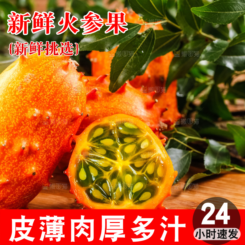 木底上摆放着海参果