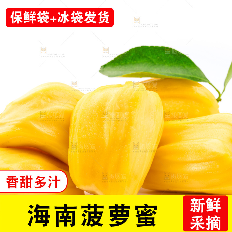 浅底上的黄肉菠萝蜜