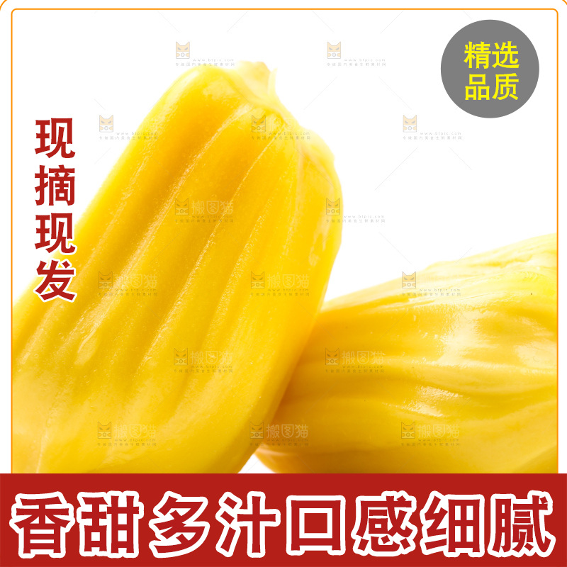 白底上放着海南菠萝蜜