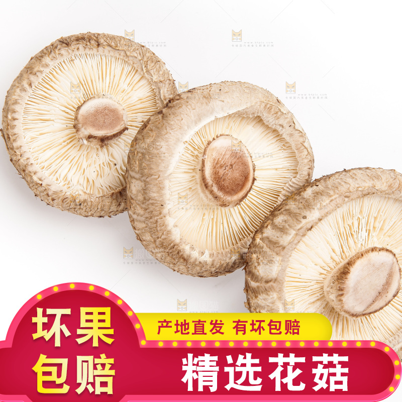白底上放着花菇