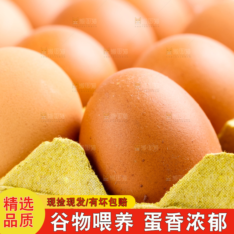 白底上放着一盘鲜鸡蛋