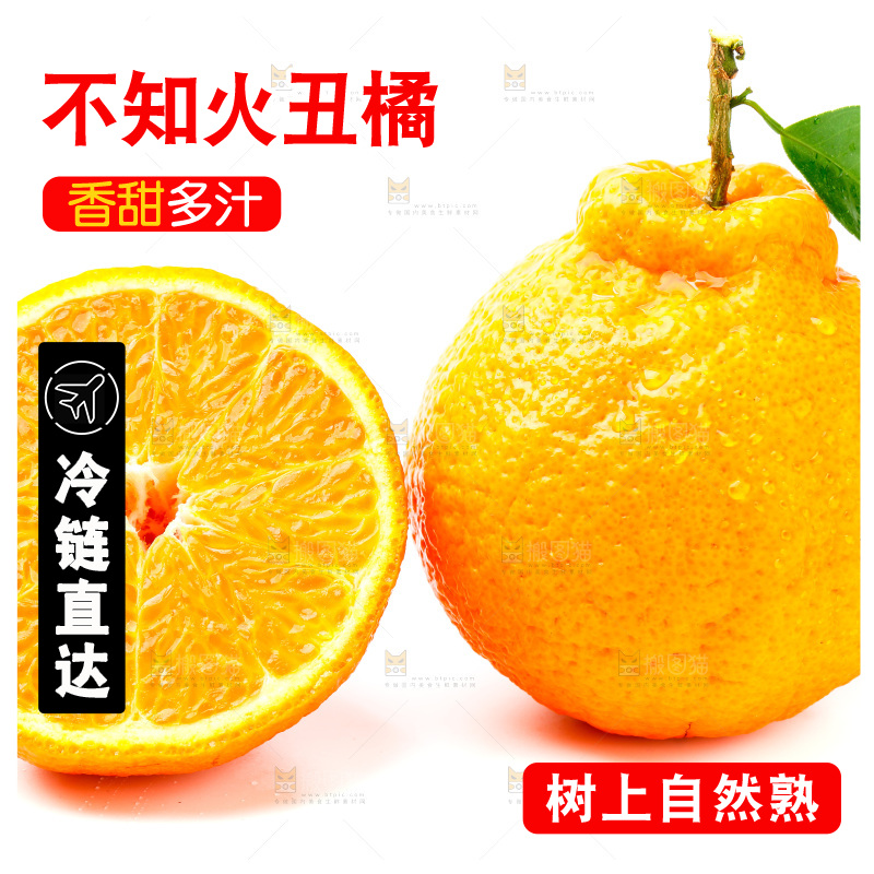 白底上的丑柑