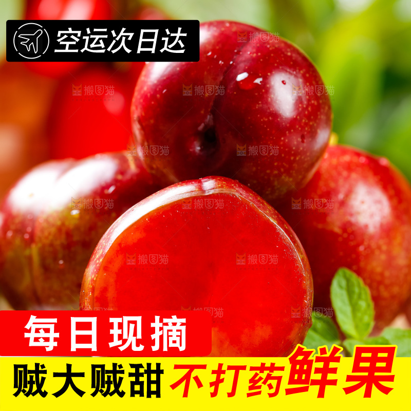 木板上放着钱排三华李