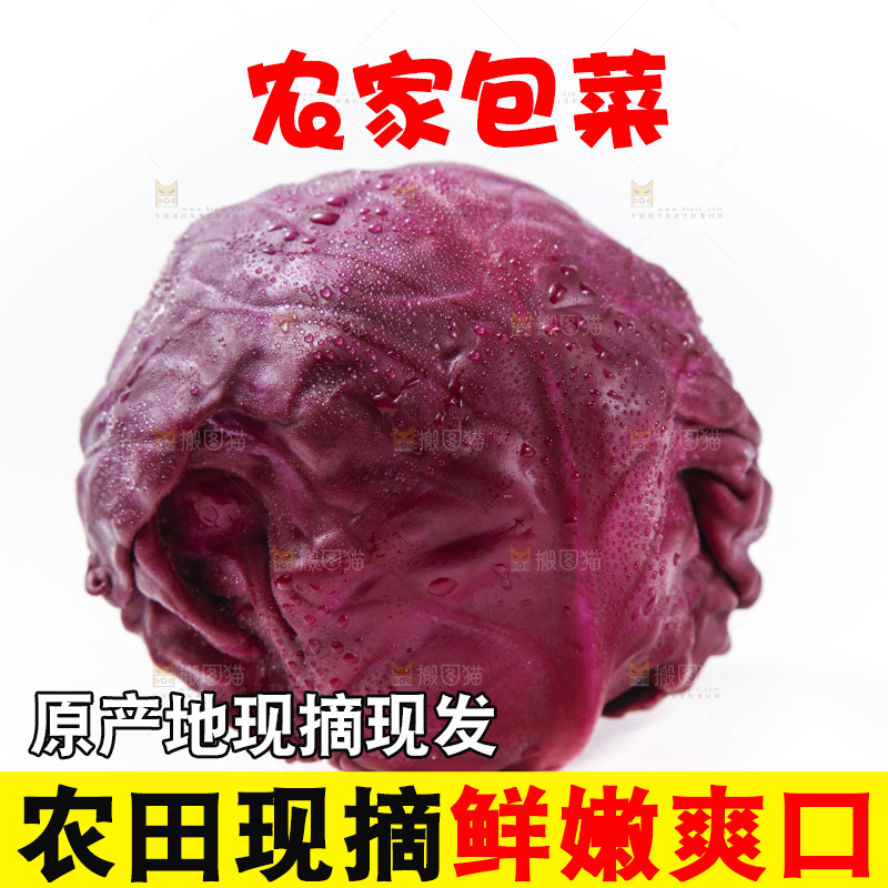 白底上放着紫包菜