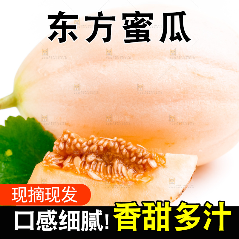 山东东方蜜瓜放在白底上