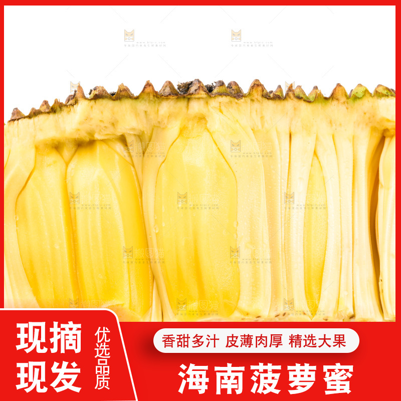 白底上放着海南菠萝蜜