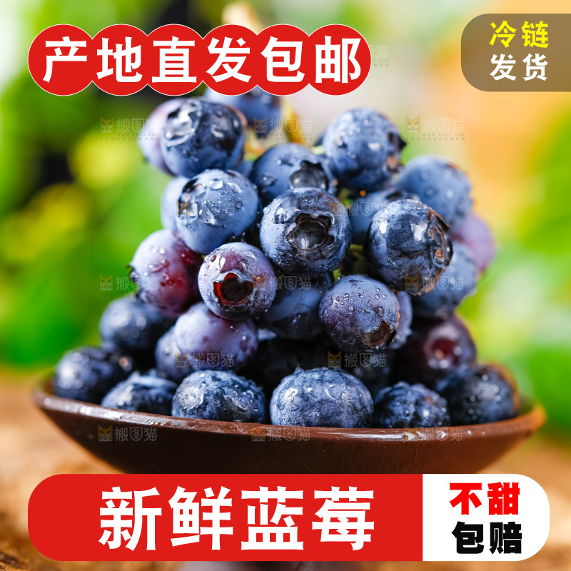碟子里装着蓝莓
