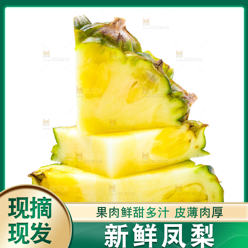 浅底上的海南凤梨