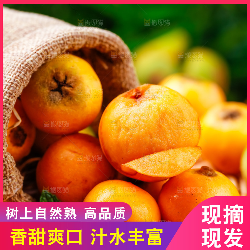 袋子里装着枇杷